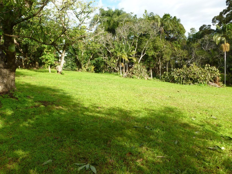 50-60 Chevallum Road, Palmwoods QLD 4555