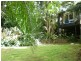 7 Briggs Street, Palmwoods QLD 4555