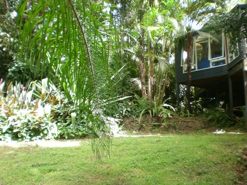 7 Briggs Street, Palmwoods QLD 4555