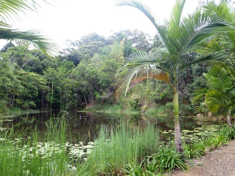 98 Macdonald Road, Palmwoods QLD 4555