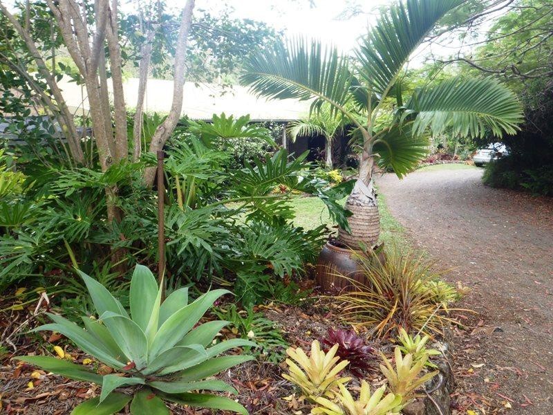 98 Macdonald Road, Palmwoods QLD 4555