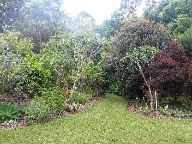 98 Macdonald Road, Palmwoods QLD 4555