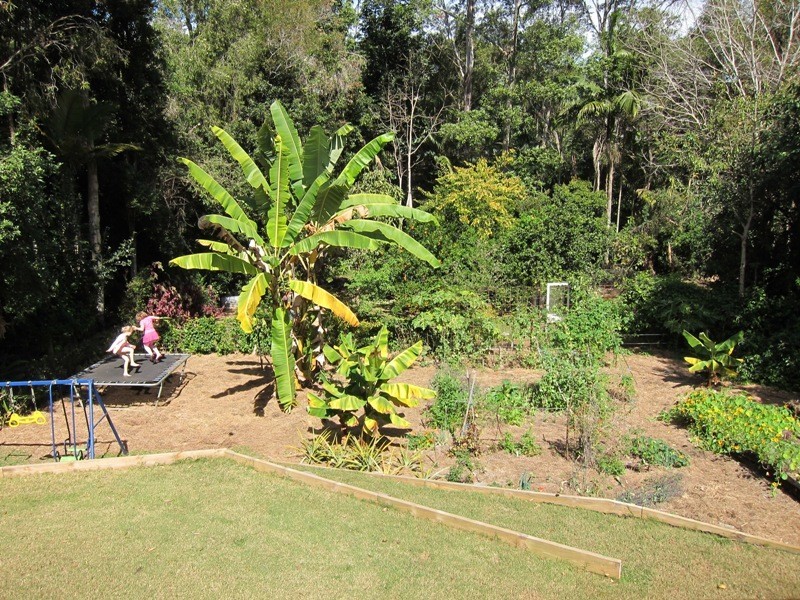 11 Churchill Street, Palmwoods QLD 4555