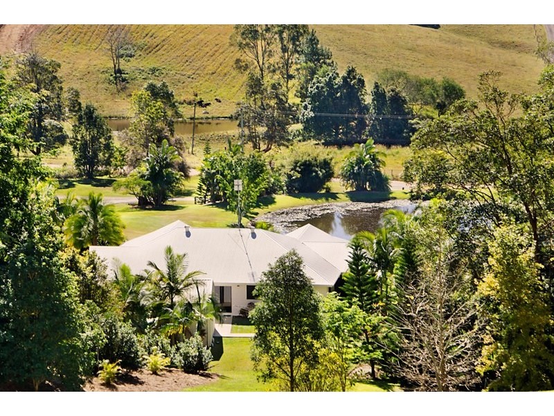 53 Macdonald Road, Palmwoods QLD 4555