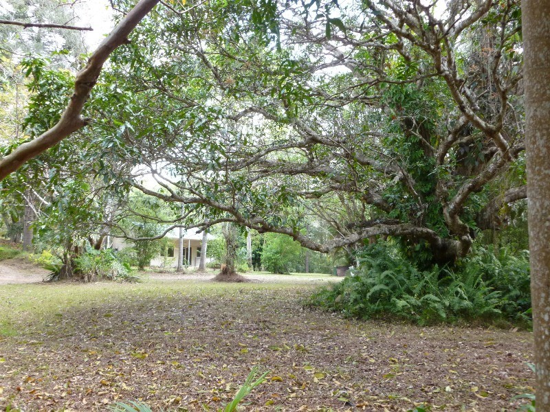 310 Highlands Road, Eudlo QLD 4554