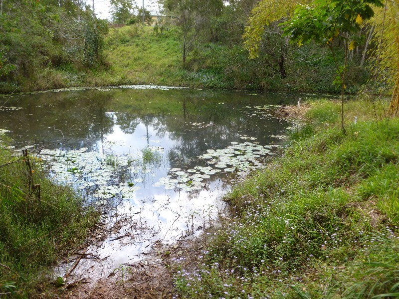 310 Highlands Road, Eudlo QLD 4554