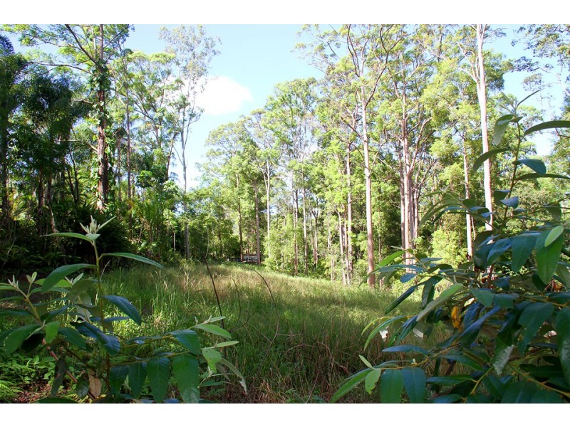 6/5 Wildwood Place, Mooloolah Valley QLD 4553