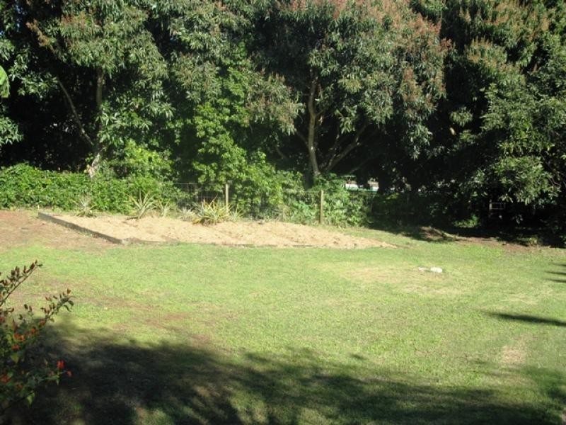 25 Lingara Avenue, Palmwoods QLD 4555