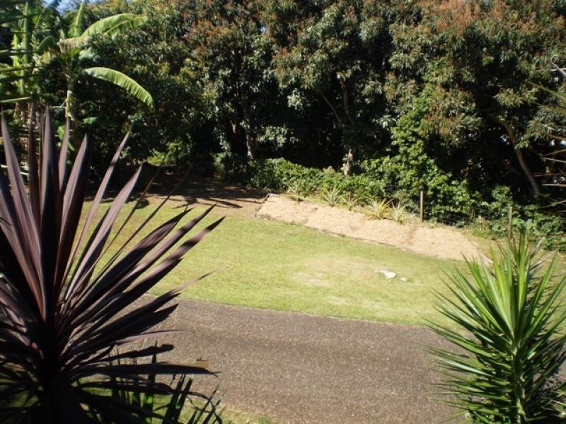 25 Lingara Avenue, Palmwoods QLD 4555