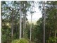 255 Hunchy Road, Hunchy QLD 4555