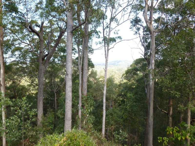 255 Hunchy Road, Hunchy QLD 4555