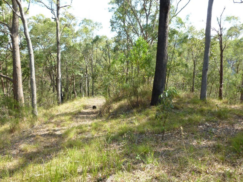 255 Hunchy Road, Hunchy QLD 4555