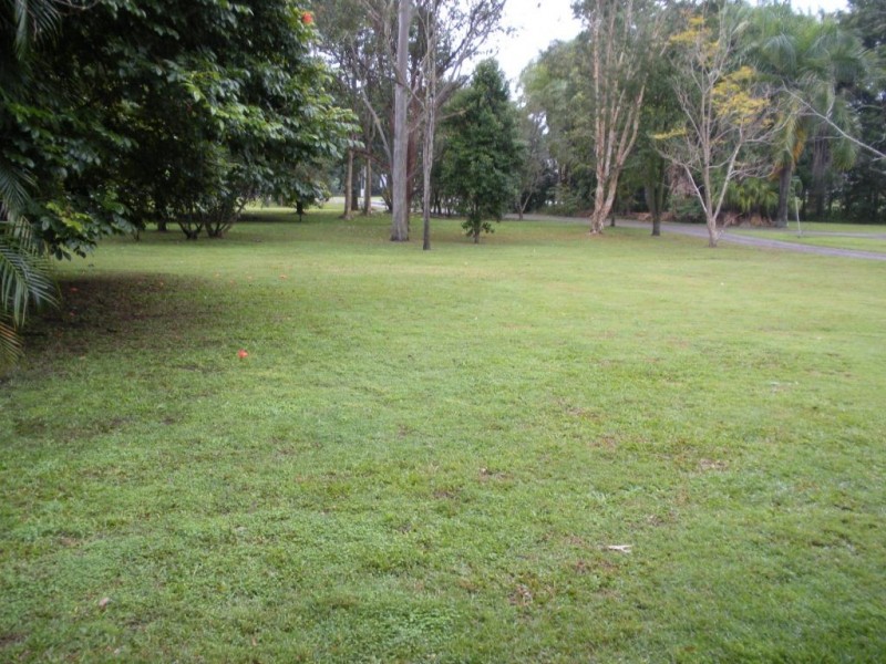 161 Palmwoods Montville Rd, Palmwoods QLD 4555