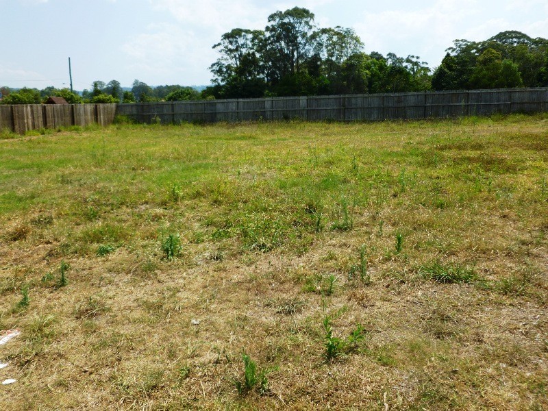 3 Aland Place, Palmwoods QLD 4555