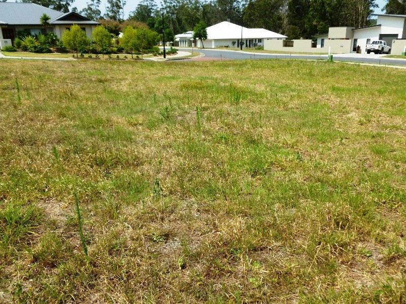 3 Aland Place, Palmwoods QLD 4555