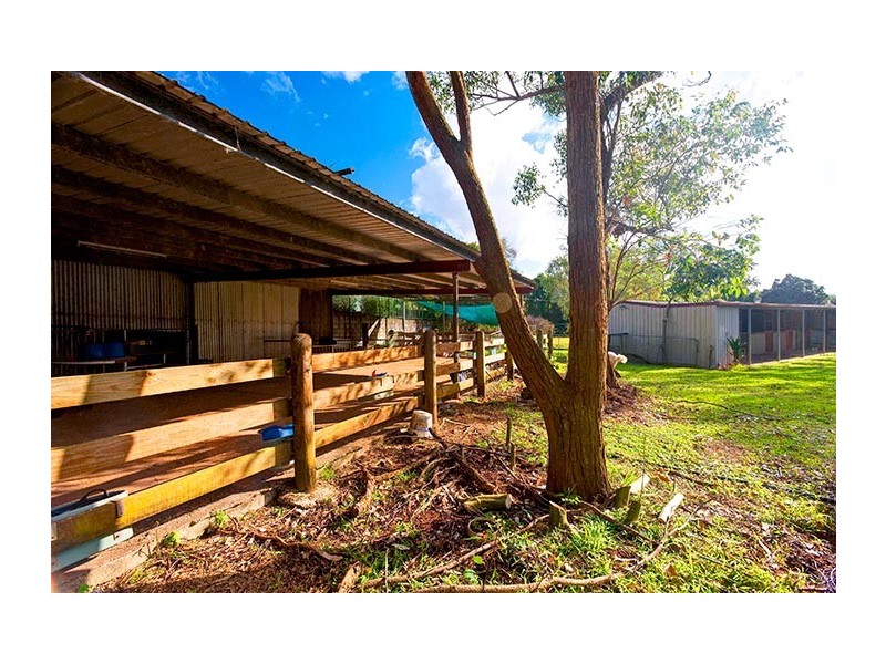 95 Jubilee Drive, Palmwoods QLD 4555