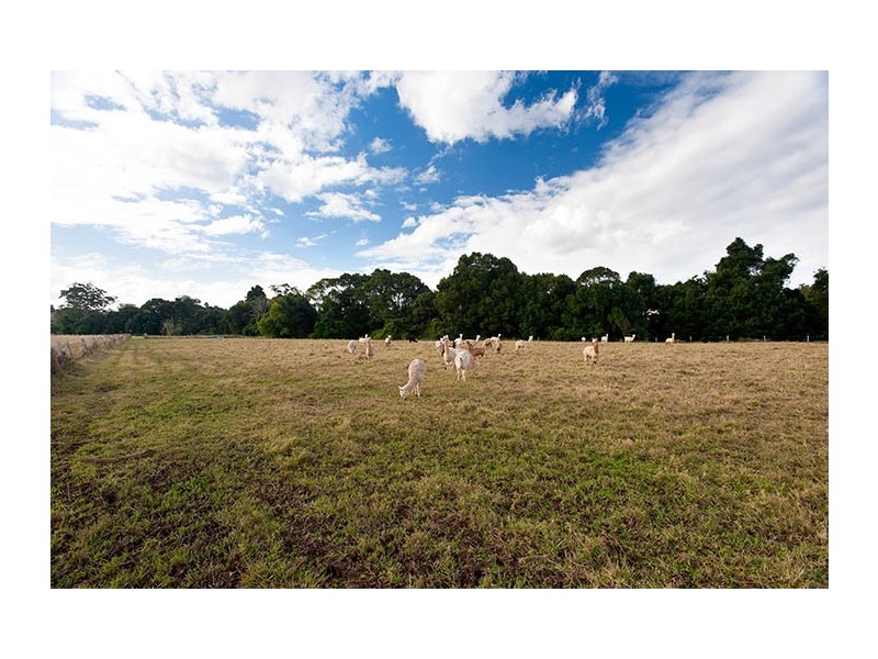 95 Jubilee Drive, Palmwoods QLD 4555