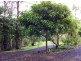 23 Johnsons Road, Eudlo QLD 4554