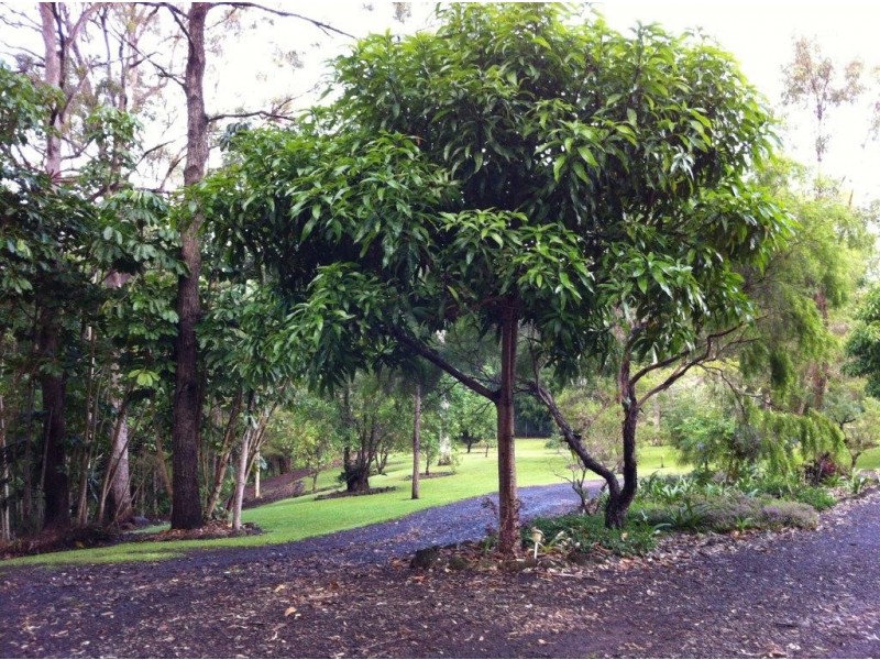 23 Johnsons Road, Eudlo QLD 4554