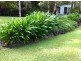 23 Johnsons Road, Eudlo QLD 4554