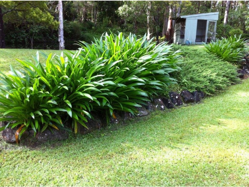 23 Johnsons Road, Eudlo QLD 4554