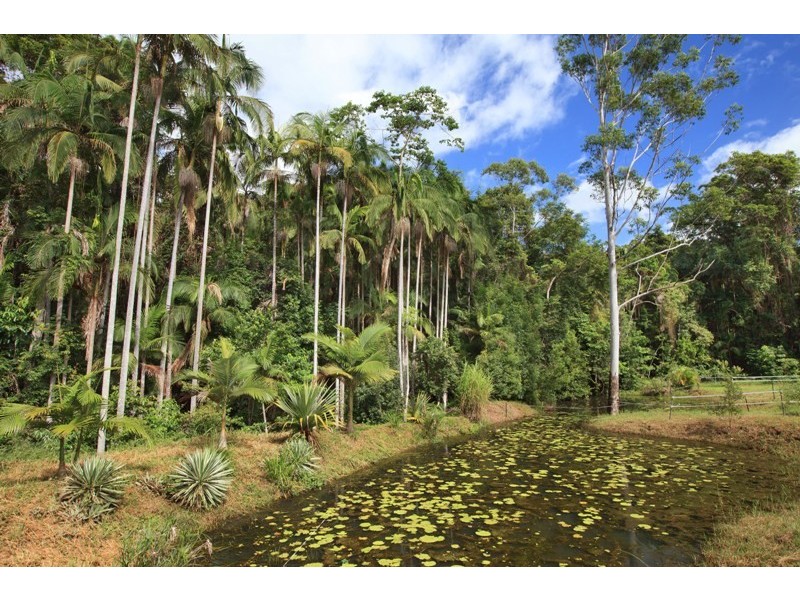57 McKees Road, Palmwoods QLD 4555