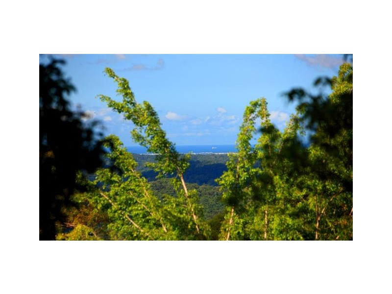 144 Kirbys Road, Montville QLD 4560