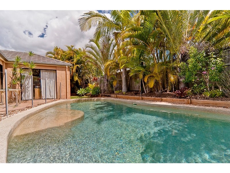 14 Petigrain Ave, Palmwoods QLD 4555