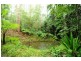 240 Paskins Road, Palmwoods QLD 4555
