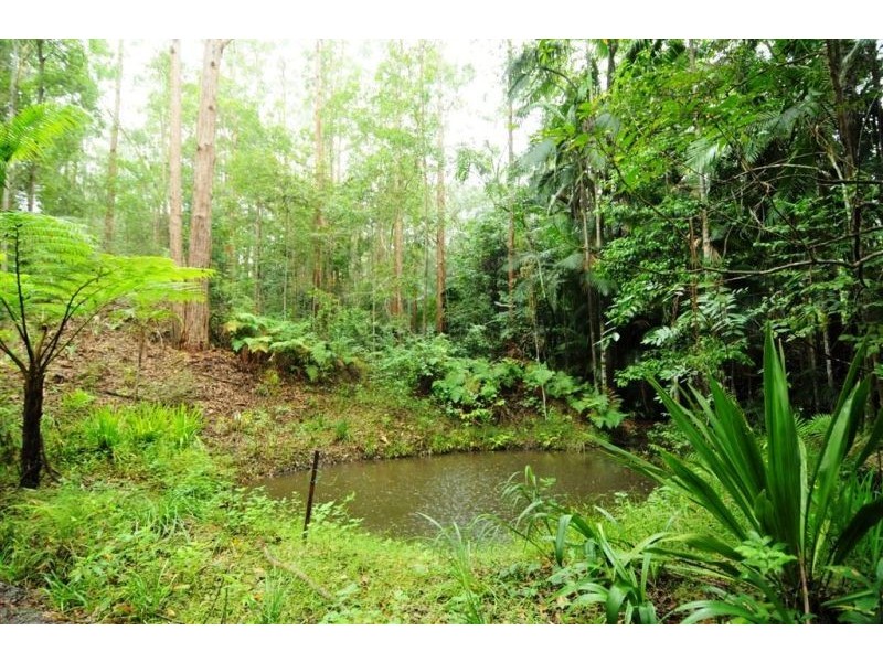240 Paskins Road, Palmwoods QLD 4555