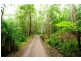 240 Paskins Road, Palmwoods QLD 4555