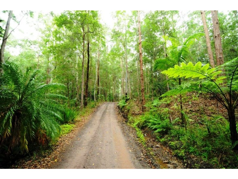 240 Paskins Road, Palmwoods QLD 4555