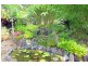 240 Paskins Road, Palmwoods QLD 4555