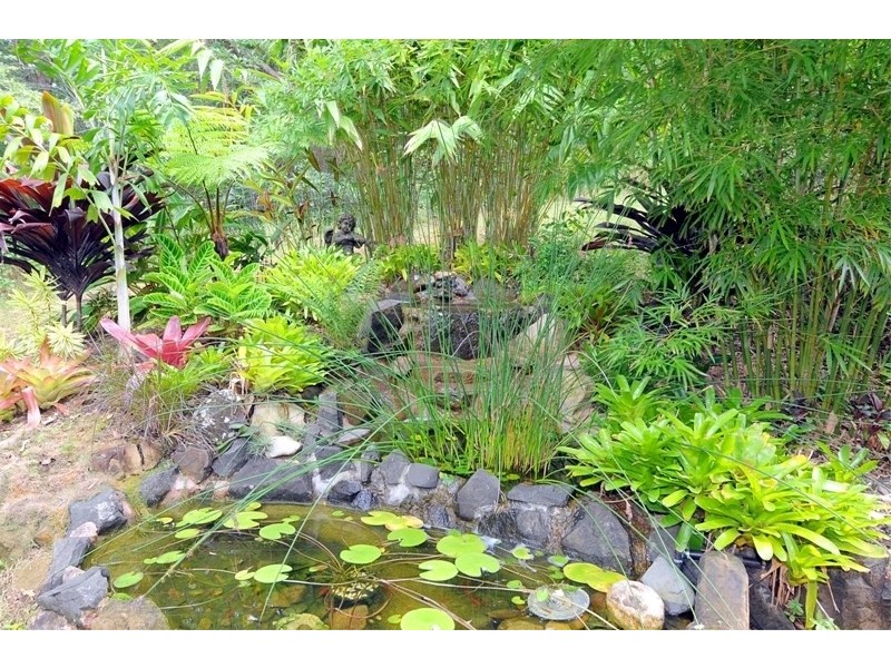 240 Paskins Road, Palmwoods QLD 4555