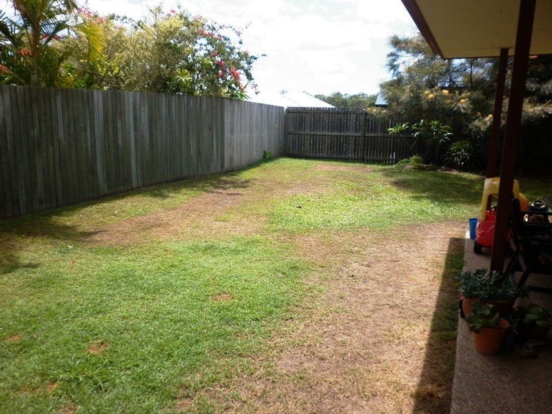 24 Petigrain Avenue, Palmwoods QLD 4555