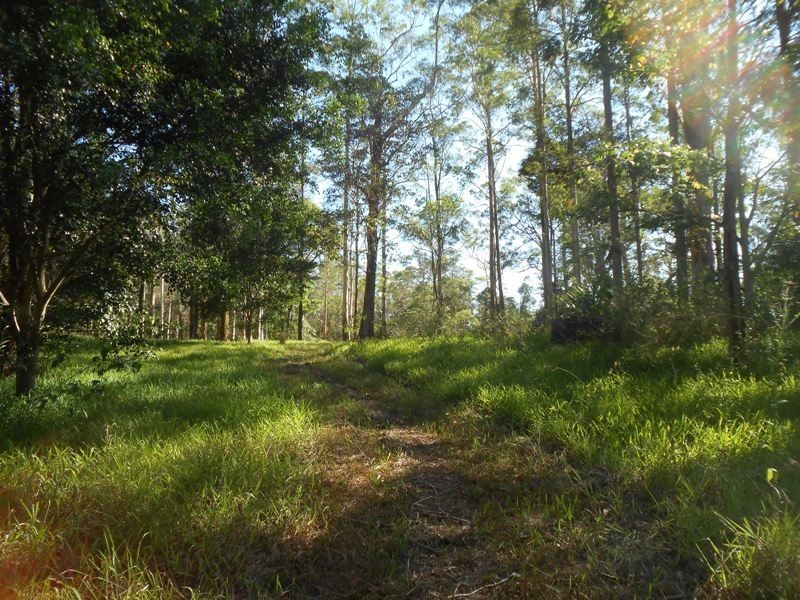 520 Mt Mellum Road, Landsborough QLD 4550