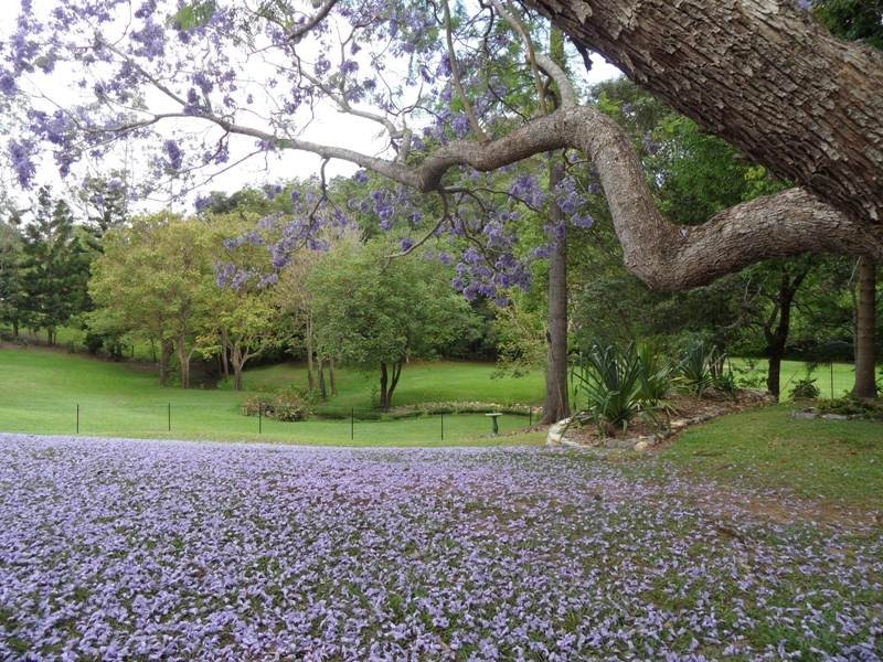 36 Smith Drive, Mooloolah Valley QLD 4553