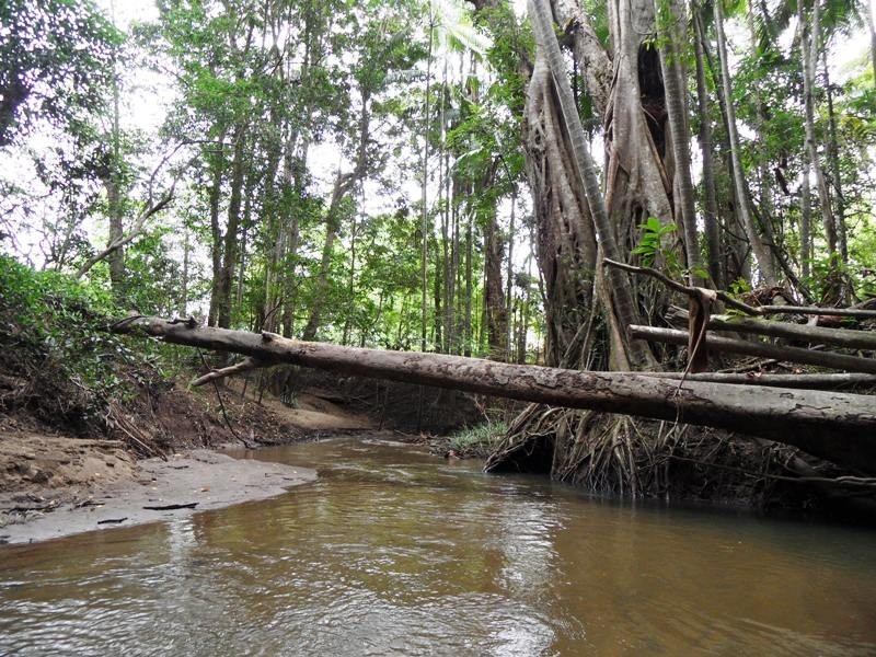 36 Smith Drive, Mooloolah Valley QLD 4553