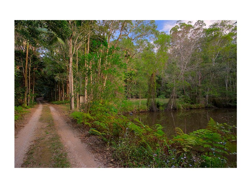3 Cheviot Road, Palmwoods QLD 4555