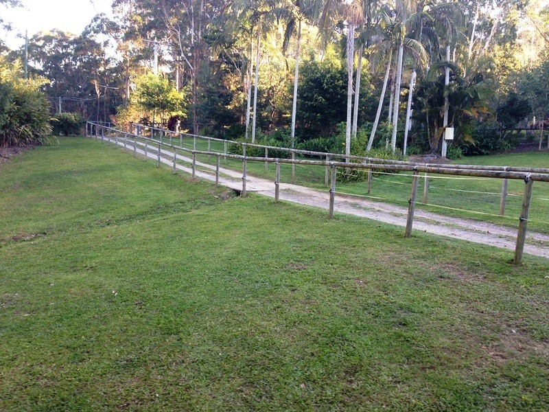 16 Clinton Court, Glenview QLD 4553