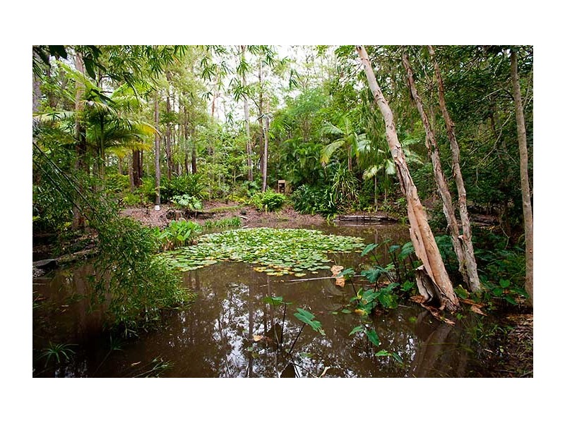 145 Wilson Road, Ilkley QLD 4554