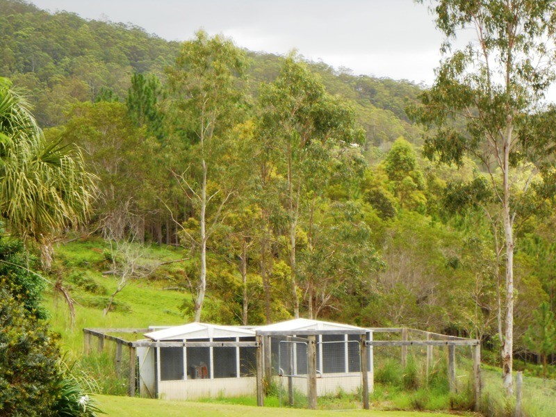 200 Mt Mellum Road, Mount Mellum QLD 4550