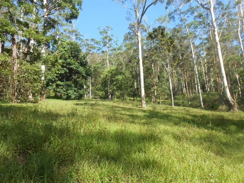520 Mt Mellum Road, Landsborough QLD 4550