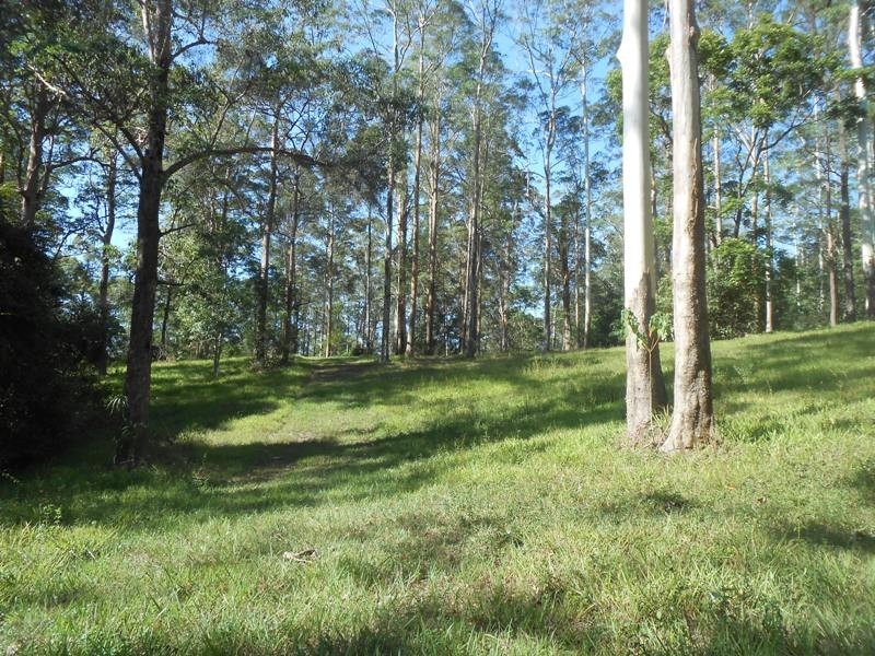 520 Mt Mellum Road, Landsborough QLD 4550