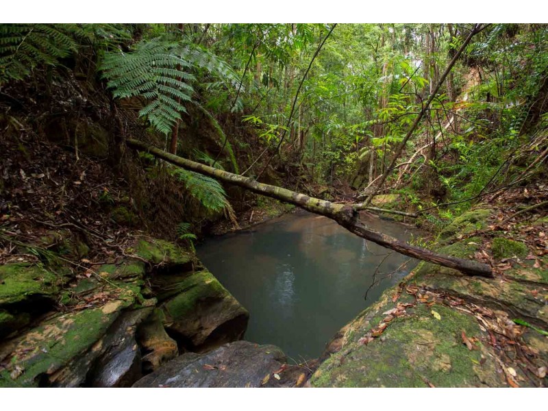 43 Bagnall Rd, Woombye QLD 4559