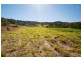 Lots 12 and 13 McKillop Road, Palmwoods QLD 4555