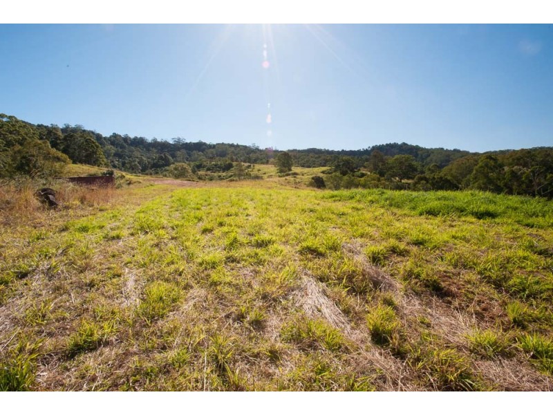 Lots 12 and 13 McKillop Road, Palmwoods QLD 4555