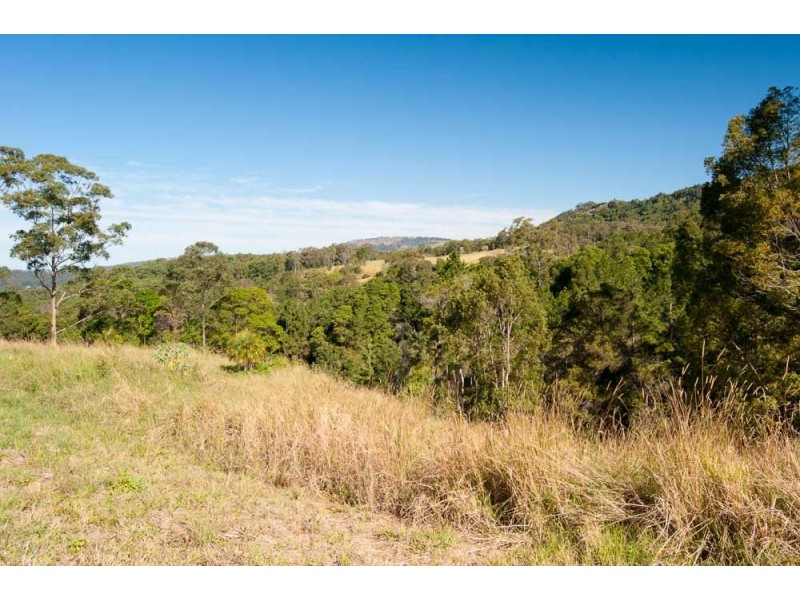 Lots 12 and 13 McKillop Road, Palmwoods QLD 4555