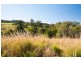 Lots 12 and 13 McKillop Road, Palmwoods QLD 4555
