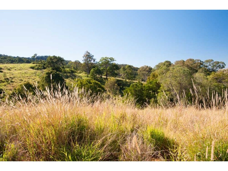 Lots 12 and 13 McKillop Road, Palmwoods QLD 4555